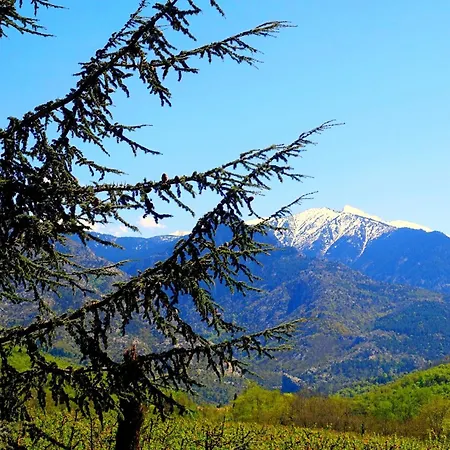Sejour A 20 Minutes De L'espagne Avec Petit-dejeuner A La Demande A Les Lumineuses Du Palais Des Rois De Majorque Перпиньан
